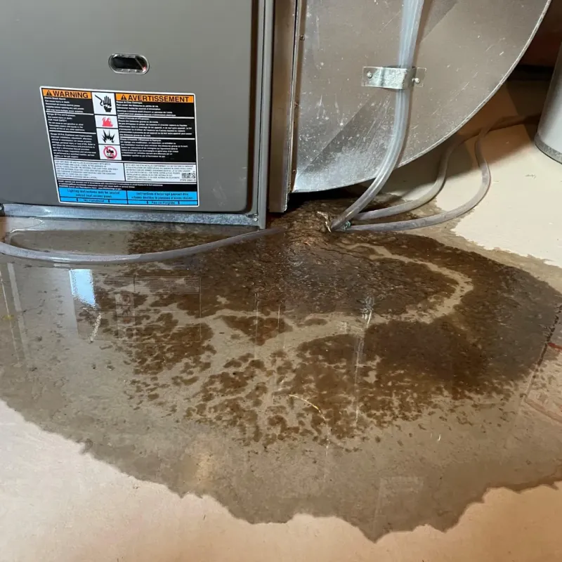 Appliance Leak Cleanup in Rochester, IN